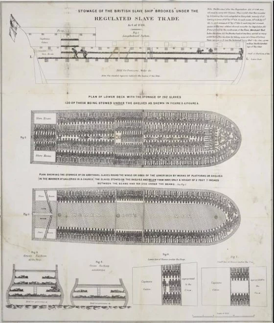 Stowage Plans of Slave Ship 'Brookes'