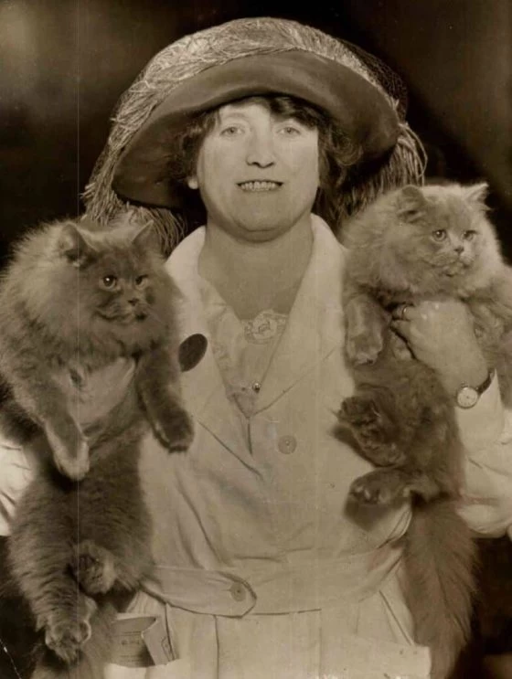 Gretta with two of their exhibition cats.
