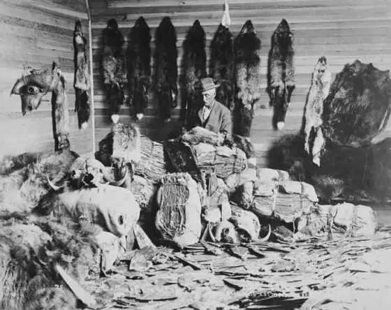 Fort Chipewyan Fur Trader. Colin Fraser