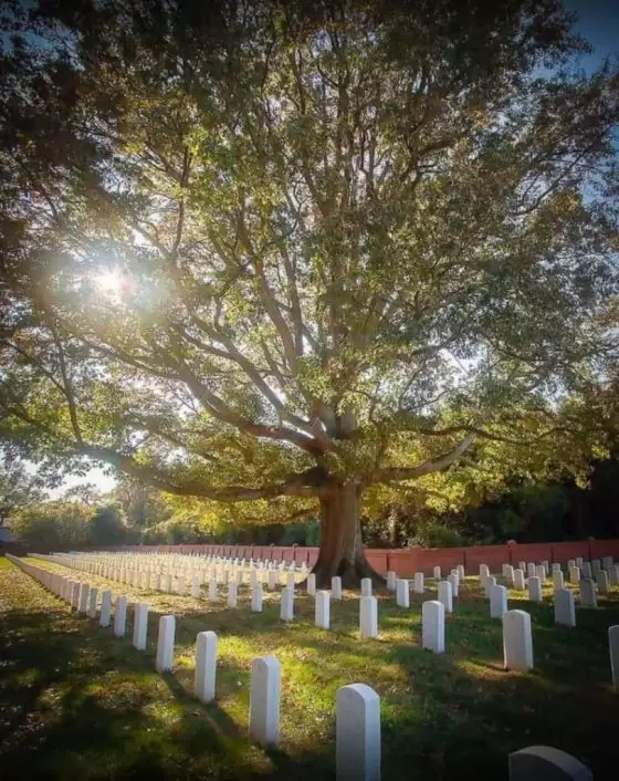 Veterans Cemetery, Hampton, Virginia