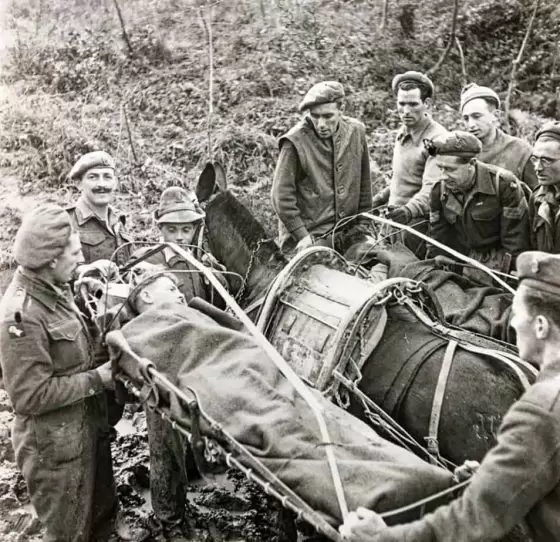 Mule Casualty Stretchers. Image courtesy of Alick MacDonald