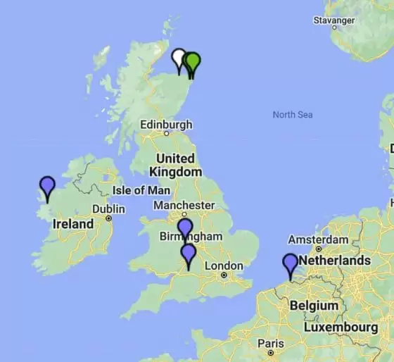 Recent Y-DNA matches are green. Older matches are in blue.